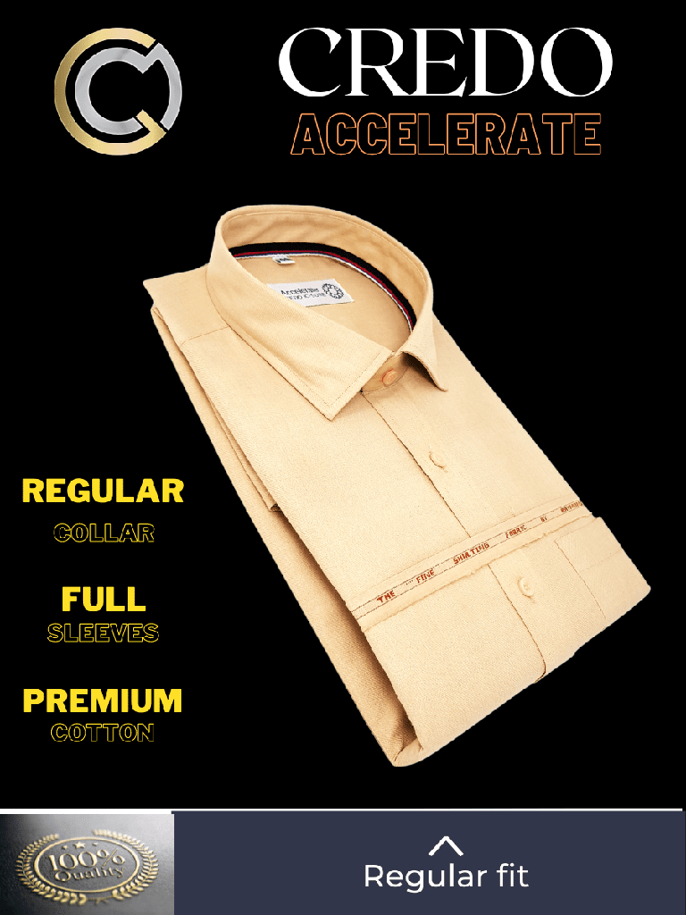 Raymond Fabric Beige Texture Formal Shirt_2.jpg