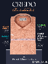 Raymond Fabric Peach & White Texture Formal Shirt_2.jpg