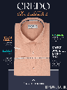 Raymond Fabric Peach Texture Formal Shirt_4.jpg