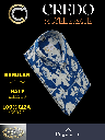 Royal blue and white floral printed shirt(861)_2.jpg