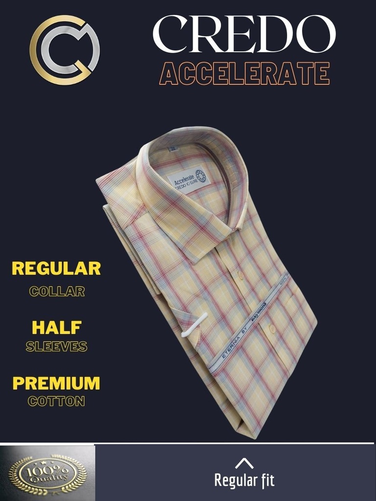 Yellow checks Raymond shirt(886)_2.jpg