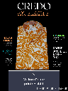Yellow ochre paisley printed half sleeve shirt (880)_1.jpg
