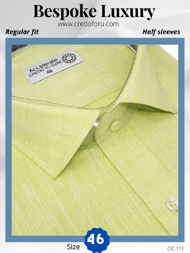 Arvind Fabric Light Green & White Texture Formal Shirt_2.jpg