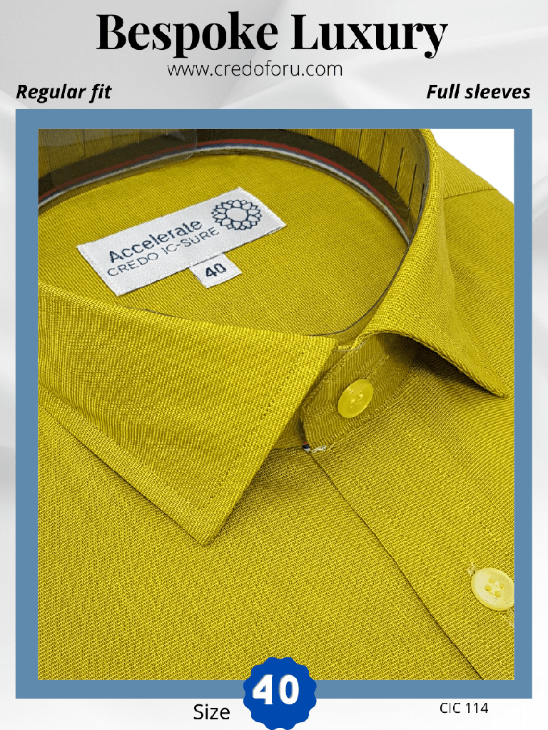 Arvind Fabric Light Green Formal Shirt_2.jpg