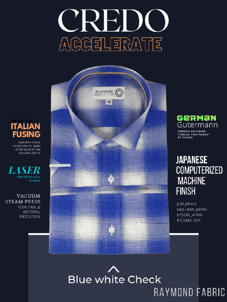 Raymond Fabric Check formal Shirt_2.jpg