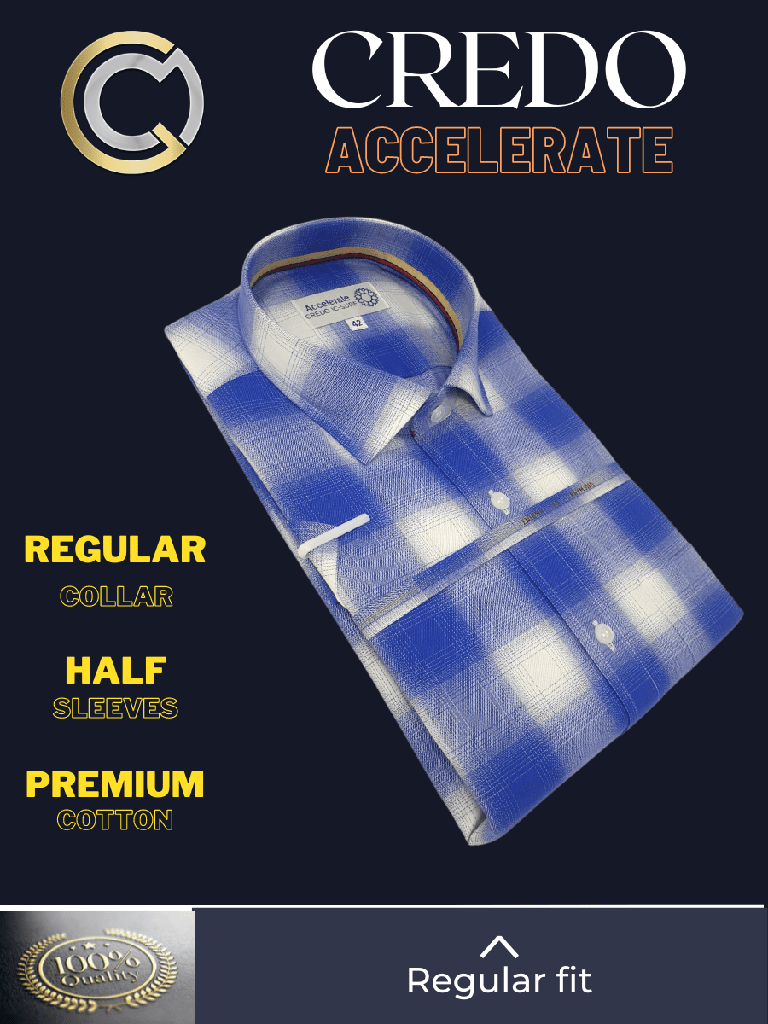 Raymond Fabric Blue & White Check Formal Shirt(63)_1.jpg