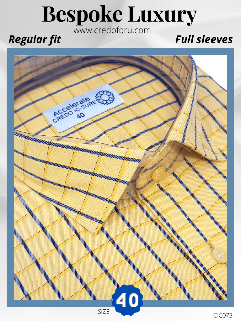 Raymond Fabric Yellow & Blue Check Formal Shirt(73)73)_2.jpg