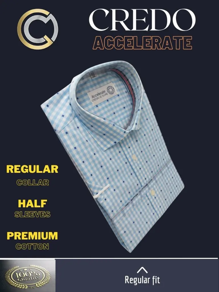 Blue and white checks Raymond shirt(889)-3.webp