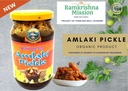 Gooseberry(Amlaki) Pickle (500gm) Image 4