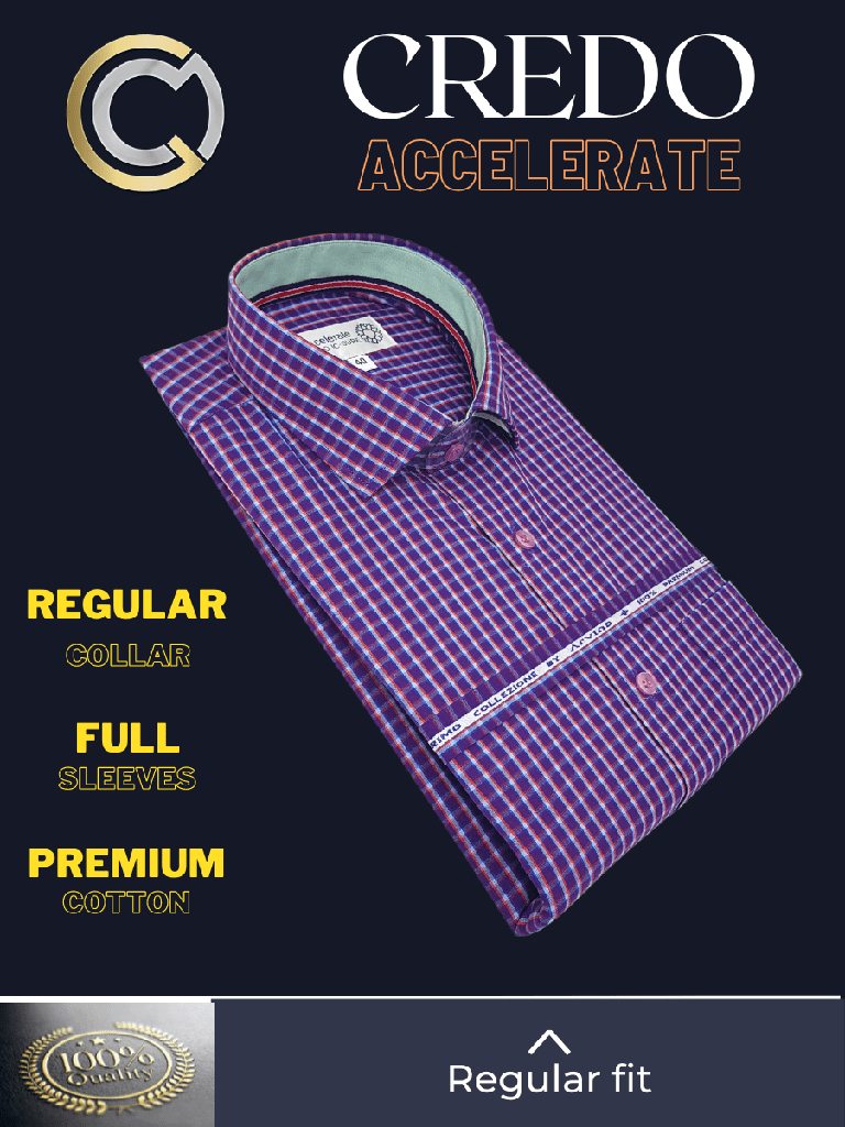 Arvind Fabric Purple Check Formal Shirt_2.jpg