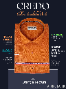 Arvind Fabric Orange Texture Formal Shirt(287)_1.jpg