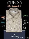 Beige Texture Regular Fit Formal Shirt_1.jpg