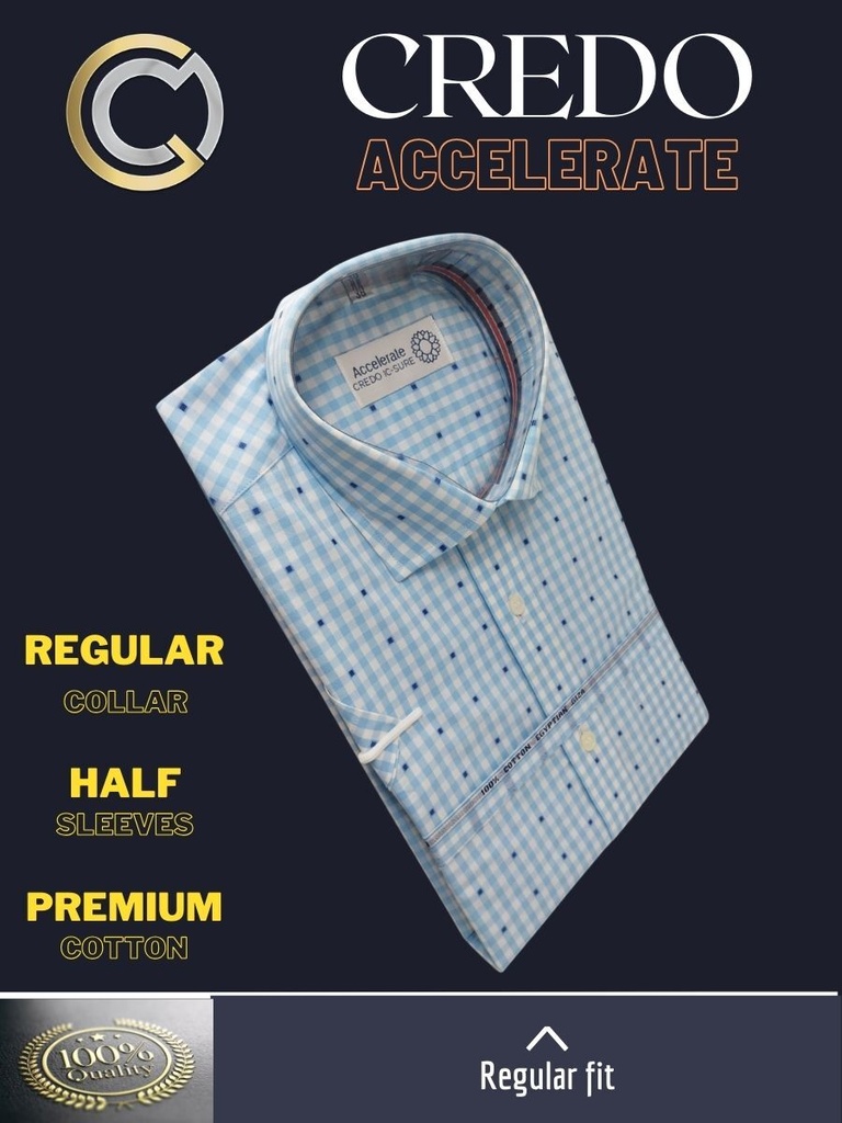 Blue and white checks Raymond shirt(889)_2.jpg