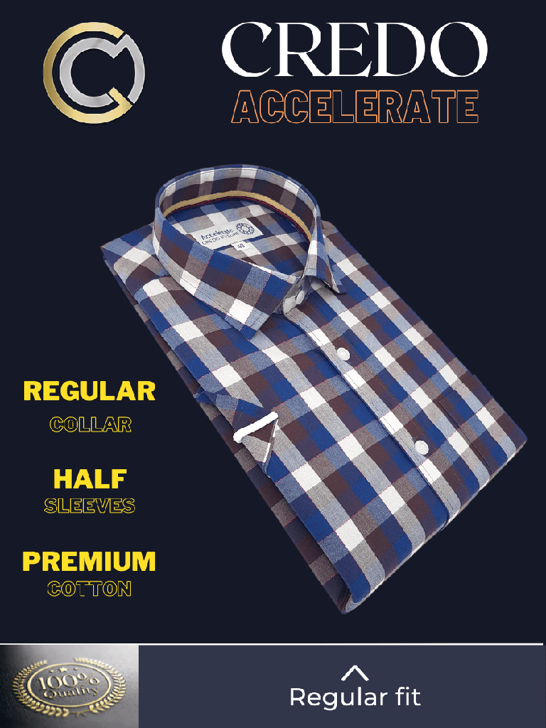 Blue Check Formal Shirt(231)_2.jpg