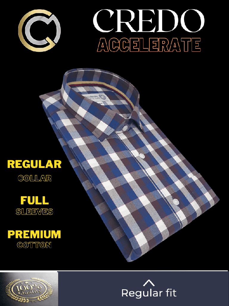 Blue and Brown Check Formal shirt_2.jpg