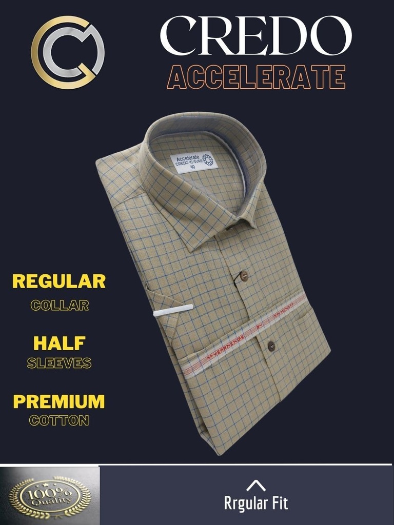 Blue checks on mehendi green Raymond shirt(884)_2.jpg