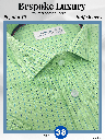 Green &amp; Blue Check Formal Shirt