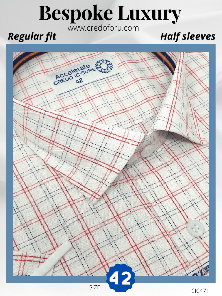 Raymond Fabric Blue &amp; Red Check Formal Shirt