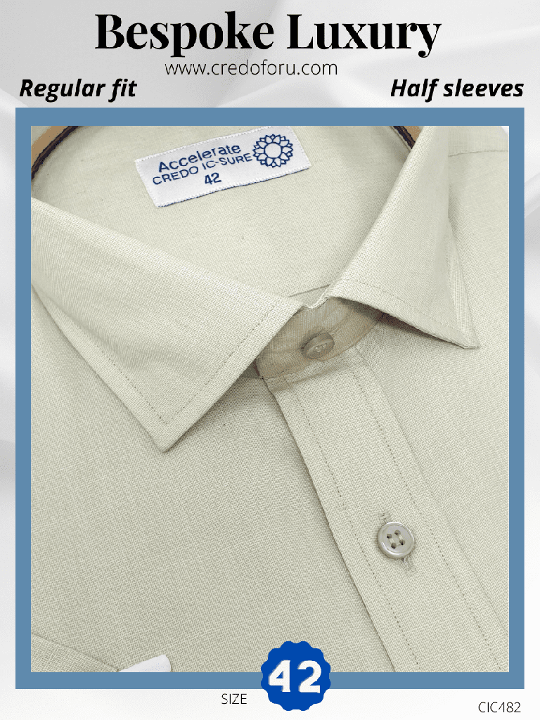 Raymond Fabric Pista Green Formal Shirt