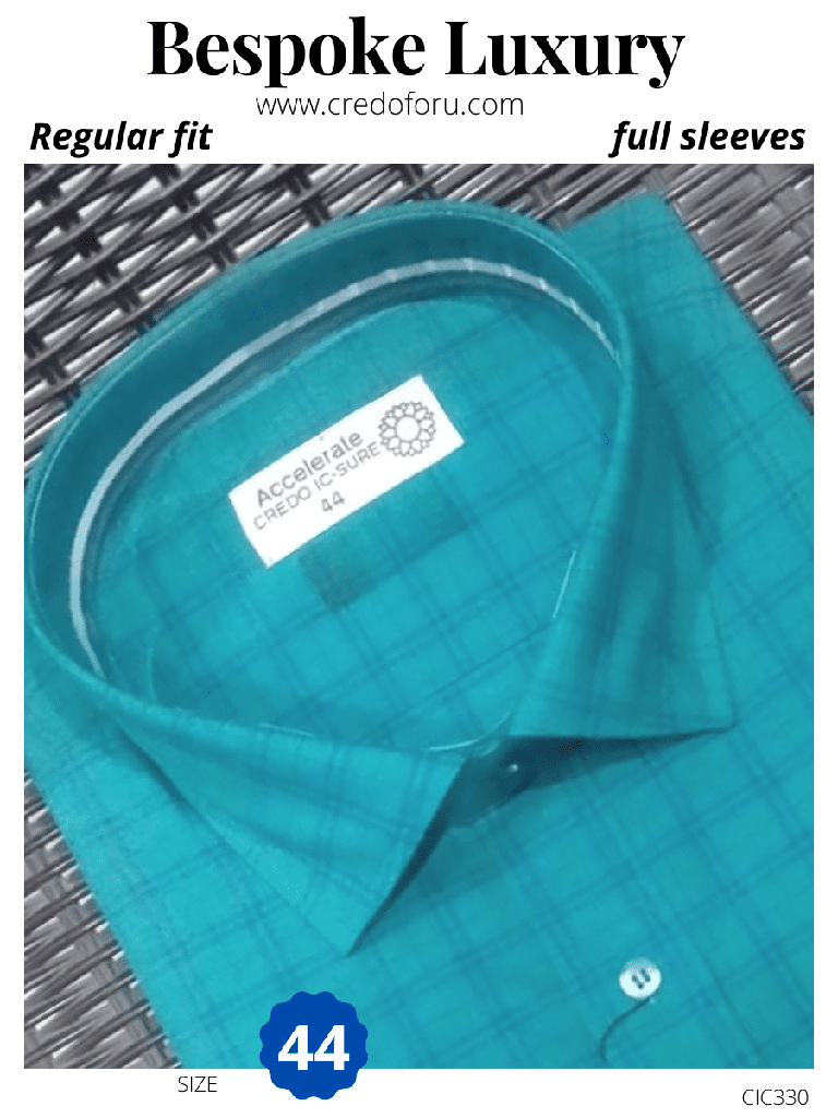 [blue-checked-green-colour-full-sleeves-shirt-44-1] Blue checked green colour full sleeves shirt