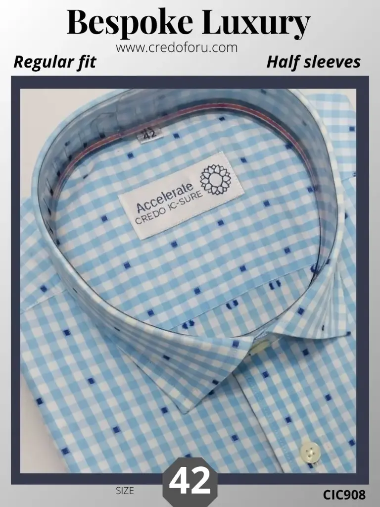 Blue Checks Mens Shirt(908)