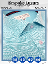 Graviera Fabric Light Blue Formal Shirt(247)