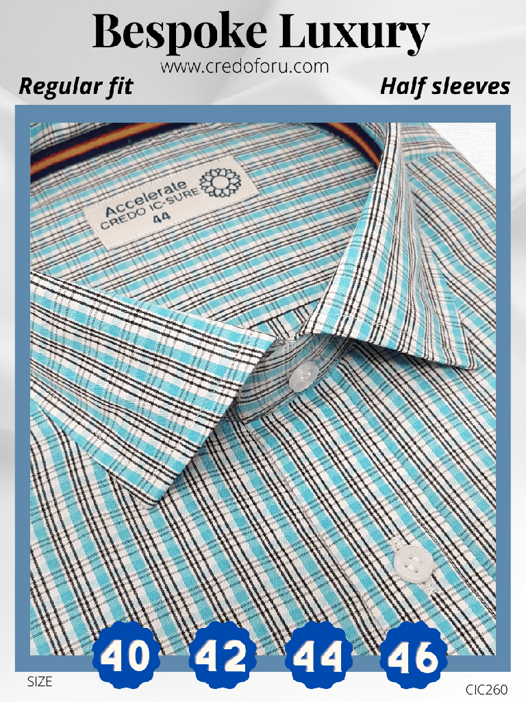 Raymond Fabric Black Check, Blue Formal Shirt