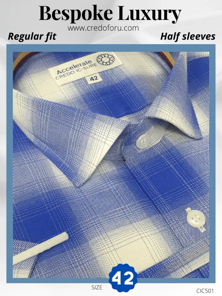 Raymond fabric Blue White Check Formal Shirt(501)