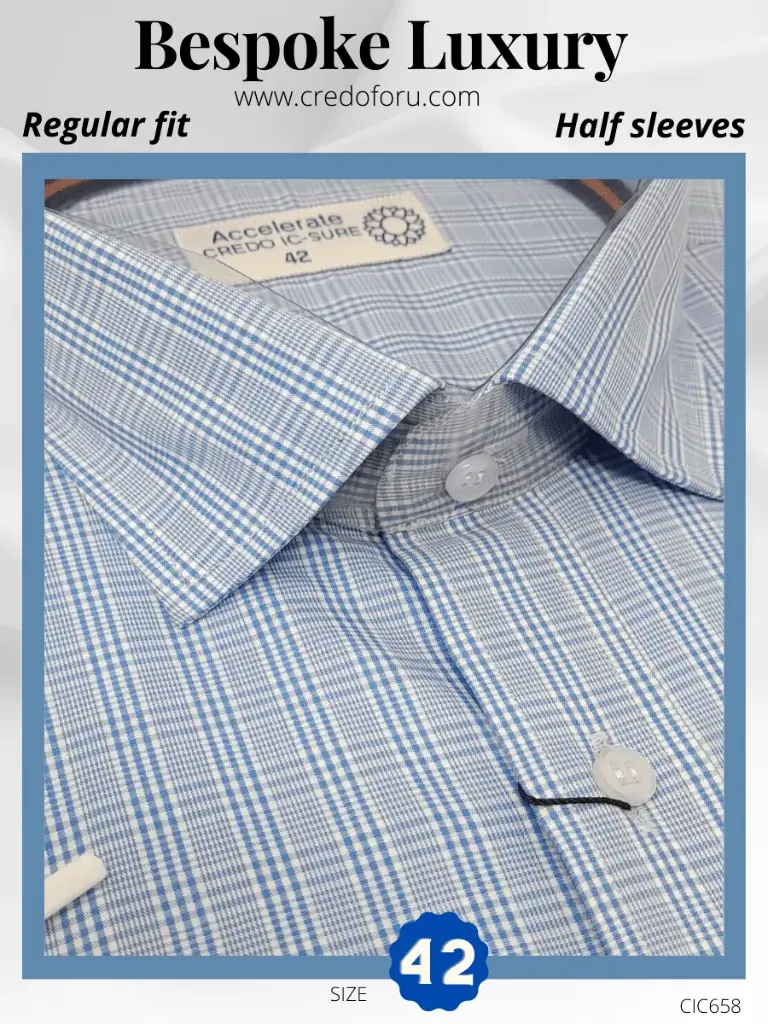 Raymonds Blue White Check Half Sleeve Shirt(658)
