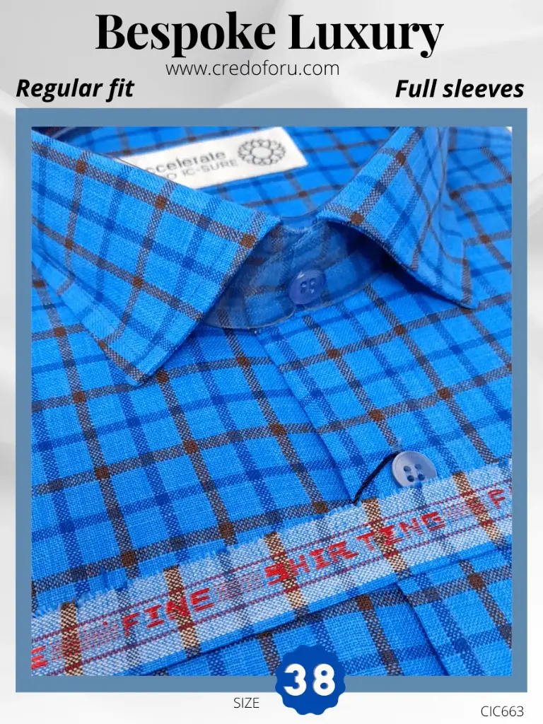 Raymonds Black Check On Blue Full Sleeve Shirt(663)