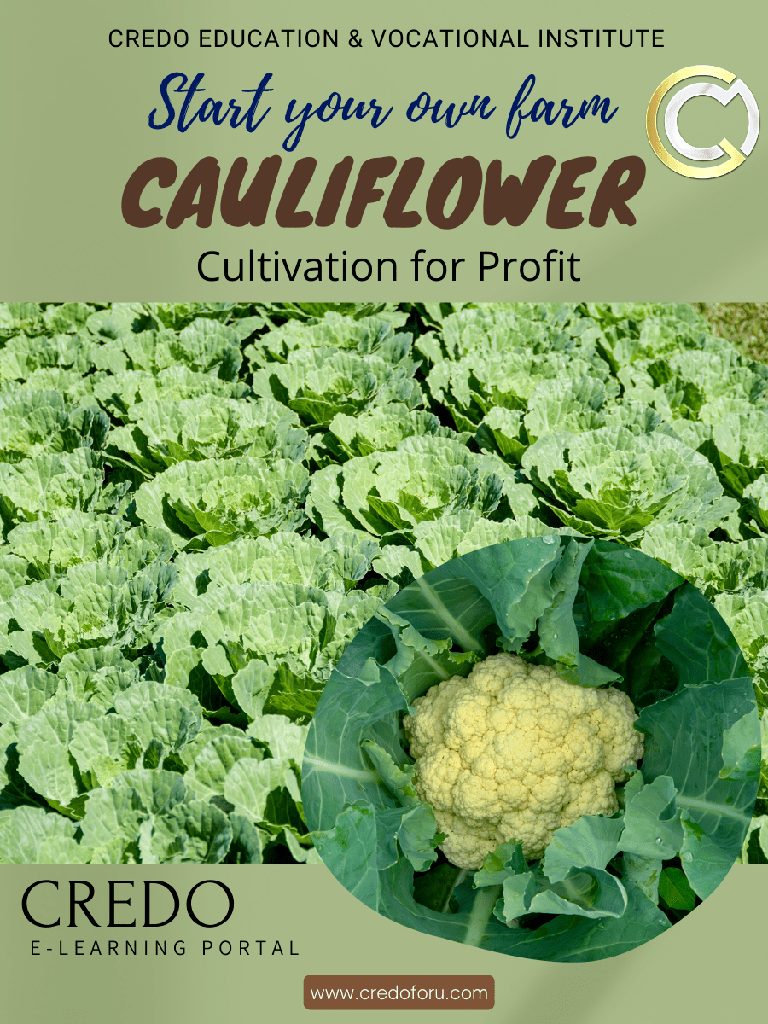 [cauliflower-cultivation] CAULIFLOWER CULTIVATION