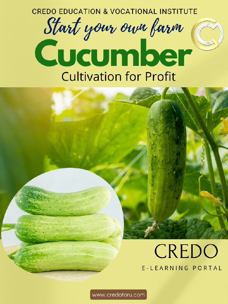 [cucumber-cultivation] CUCUMBER CULTIVATION