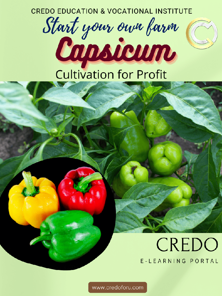 [capsicum-cultivation] CAPSICUM CULTIVATION
