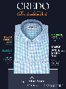 Light Blue & Green Check Formal Shirt(13)