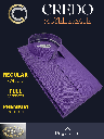 Credo Mauve Solid Formal Shirt