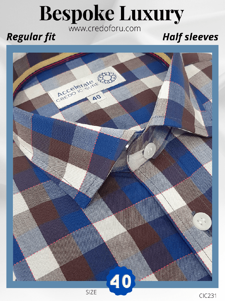 Blue Check Formal Shirt(231)