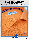 Orange Formal Shirt