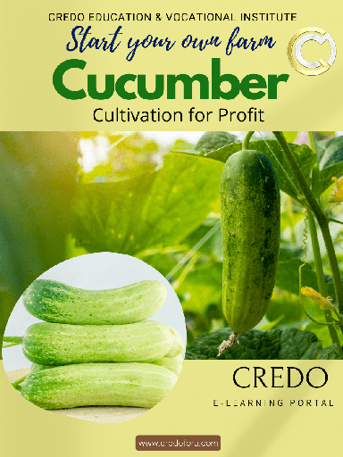 [cucumber-cultivation] CUCUMBER CULTIVATION