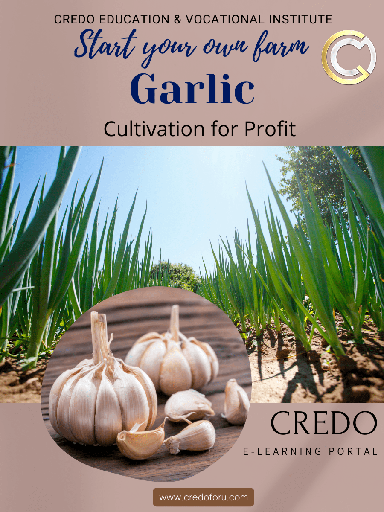 [garlic-cultivation] GARLIC CULTIVATION
