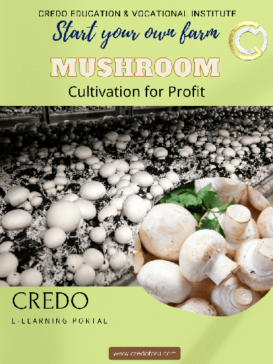 [mushroom-cultivation] MUSHROOM CULTIVATION