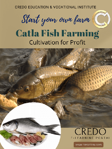 [catla-fish-farming] CATLA FISH FARMING