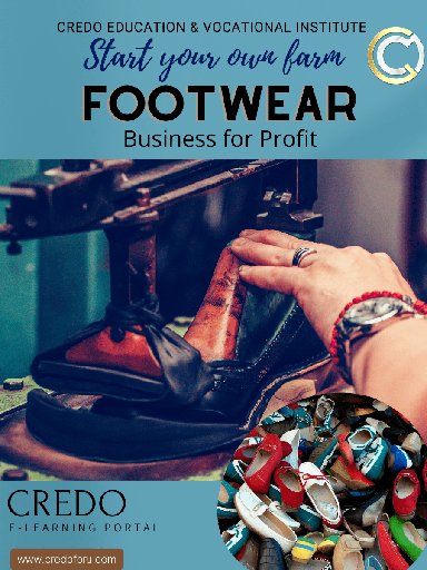 [msme-footwear] MSME: FOOTWEAR