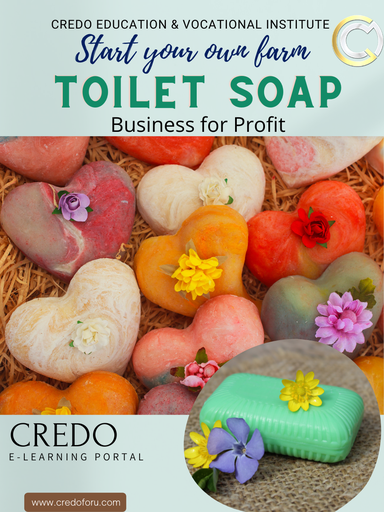 [msme-toilet-soap] MSME: TOILET SOAP