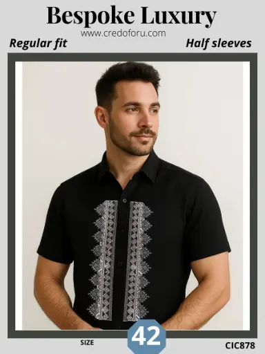 Black Kasuti embroidery Shirt(878)